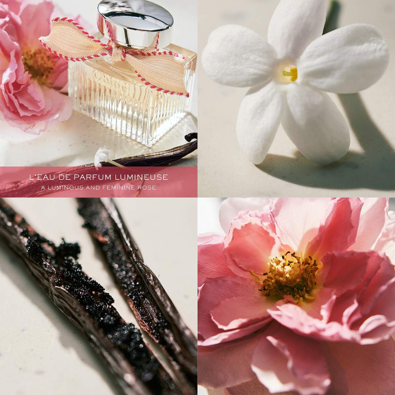 Chloé L'Eau de Parfum Lumineuse 5mL - Chloé / Perfume Floral