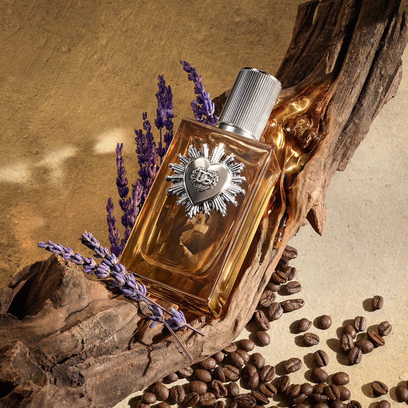 Devotion For Men Parfum with Coffee & Amber Woods 5mL - Dolce&Gabbana / Perfume