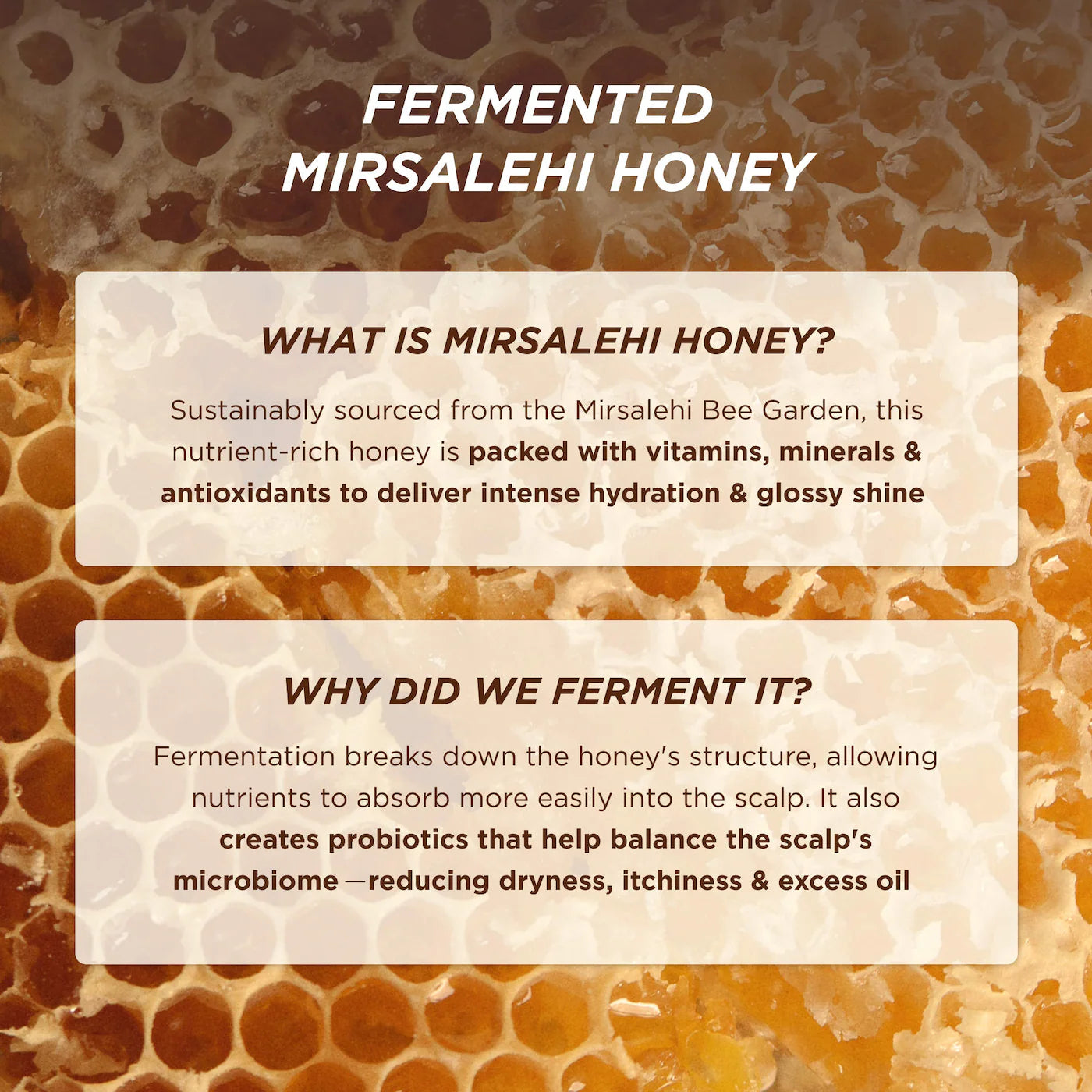 *PREORDEN: Honey Gloss Ceramide Therapy Hydrating Conditioner - Gisou / Acondicionador Hidratante