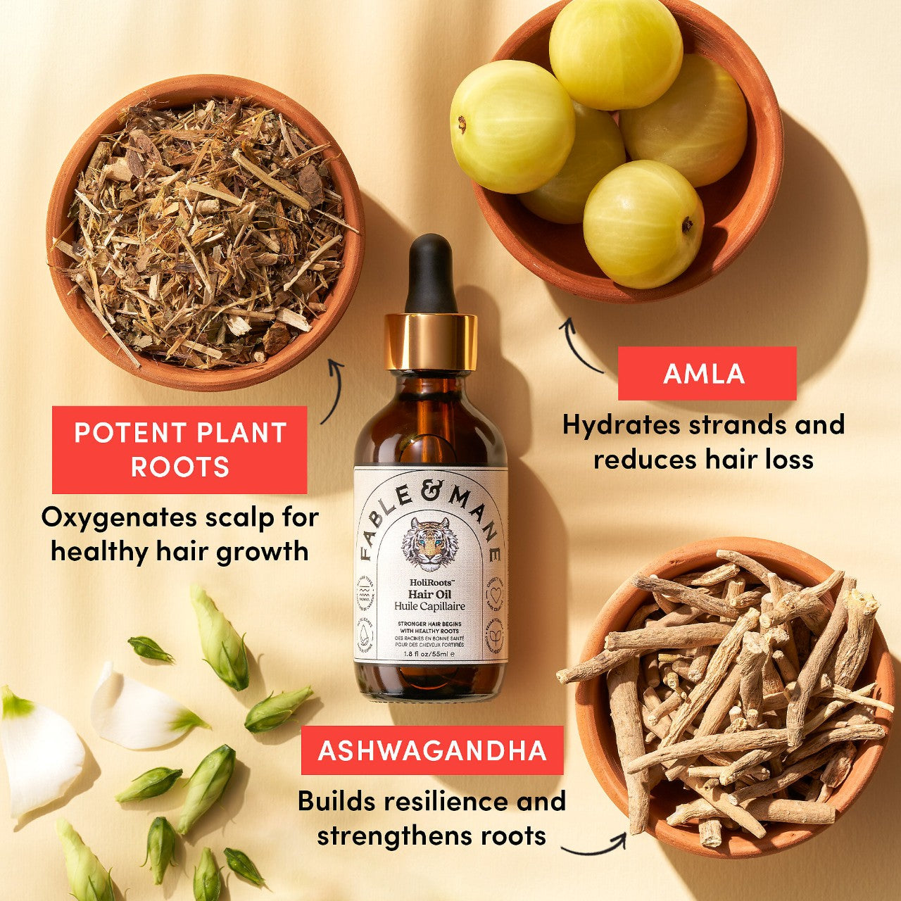 HoliRoots™ Pre-wash Hair Treatment Oil - Fable & Mane / Aceite para prelavado fortalecedor de cabello