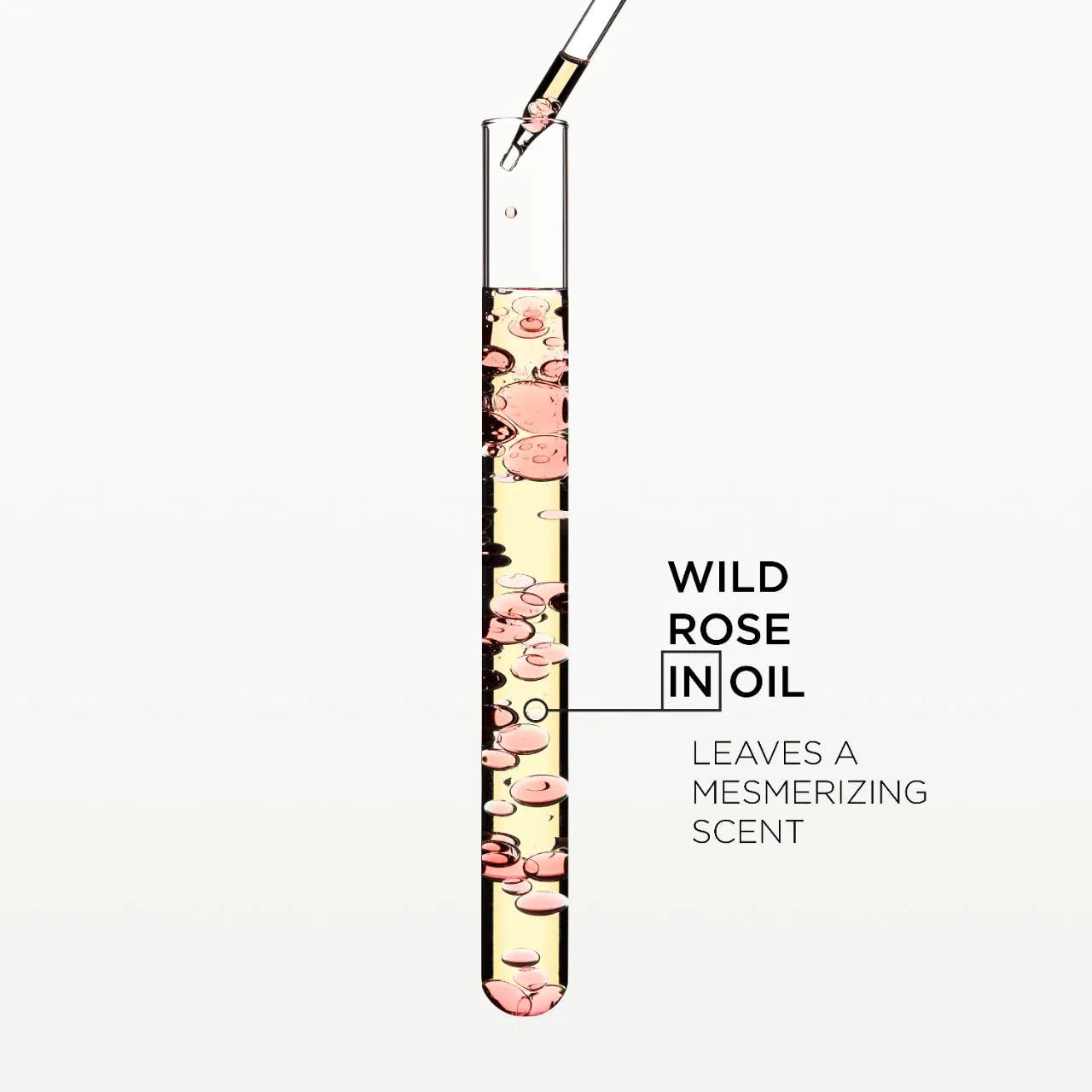 *PREORDEN: Gloss Absolu Glaze Drops Anti-Frizz Hair Oil - Kérastase /  Aceite de alto brillo para el cabello antifrizz