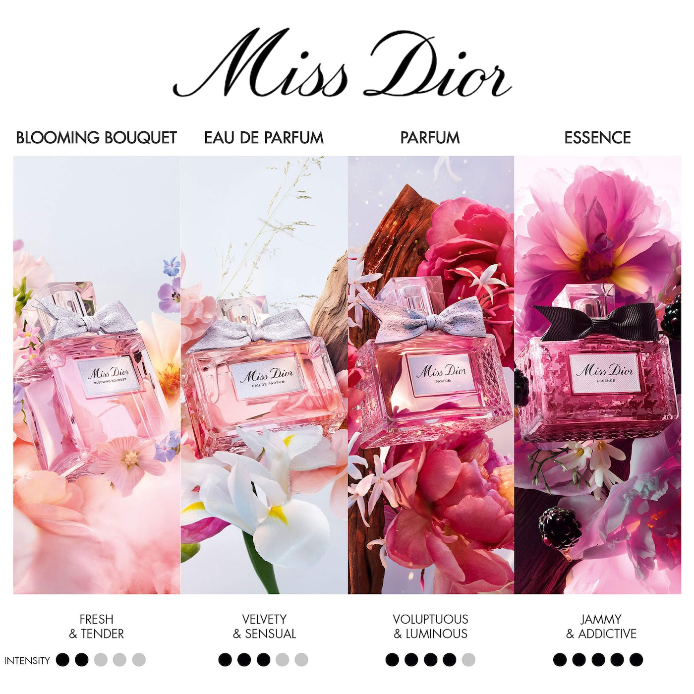 Miss Dior Blooming Bouquet Mini 5mL - Dior / Perfume Floral