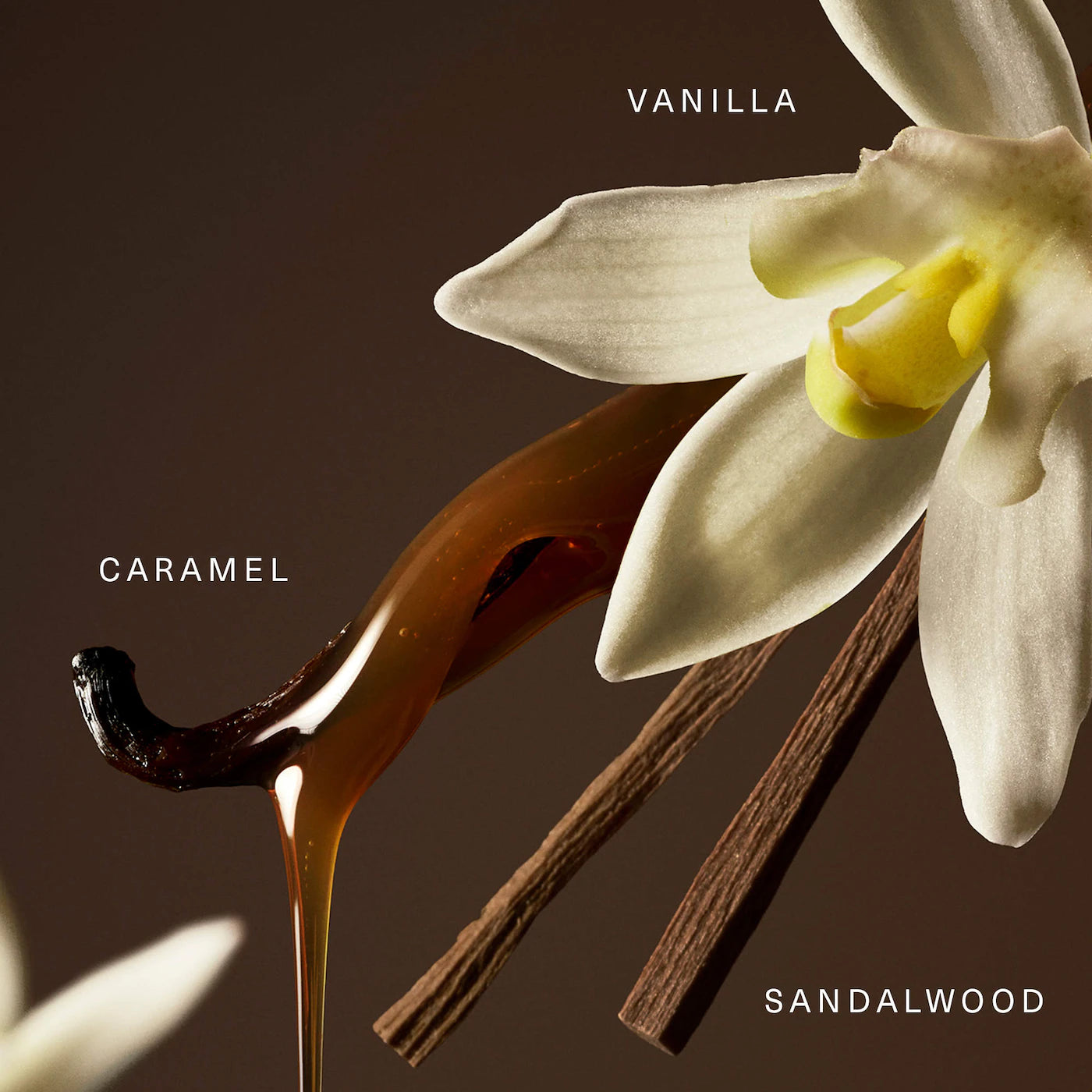 *PREORDEN: Rare Eau de Parfum with Vanilla and Caramel - Rare Beauty / Perfume cálido