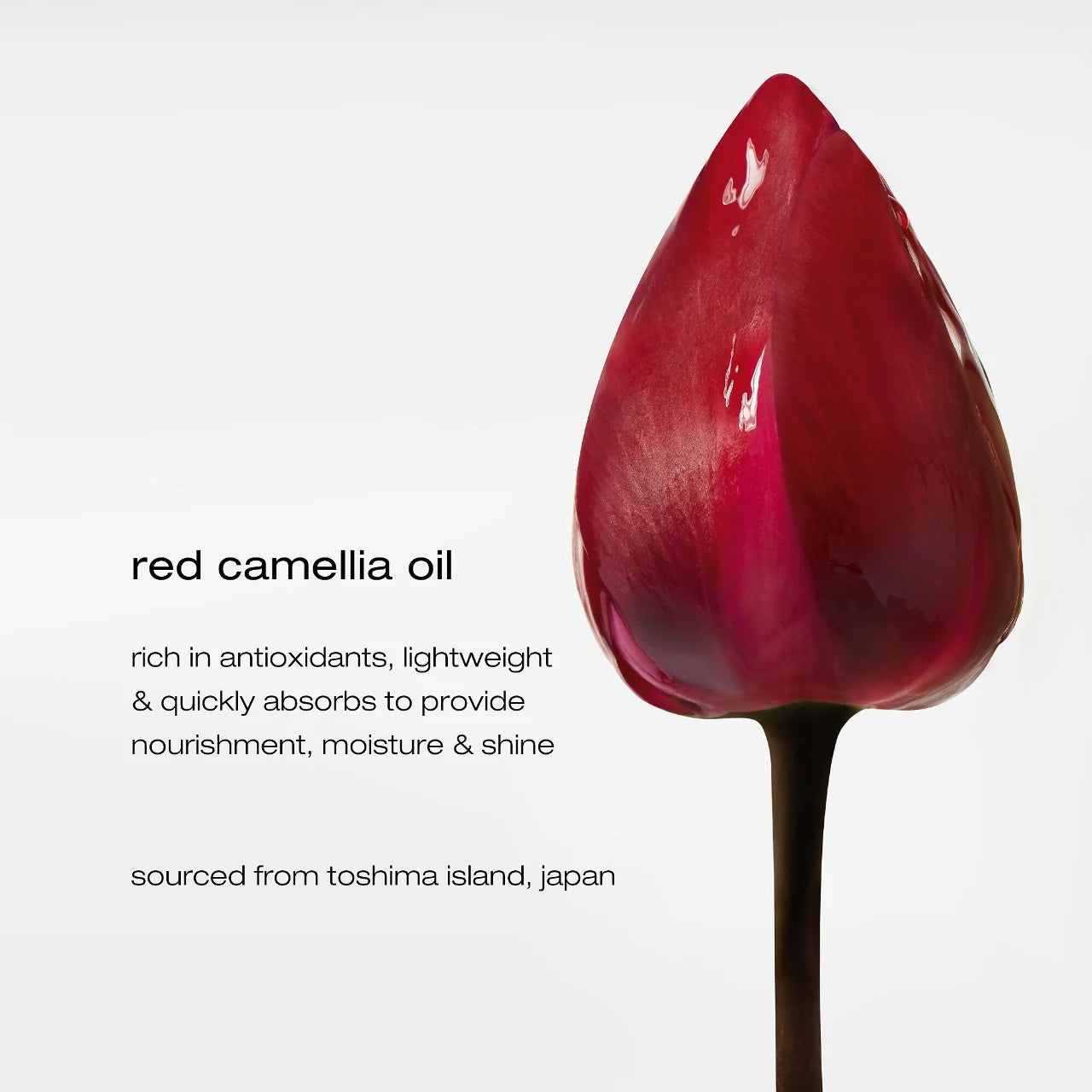 *PREORDEN: Essence Absolue Nourishing Protective Hair Oil 50mL - shu uemura /  Aceite nutritivo para cabello