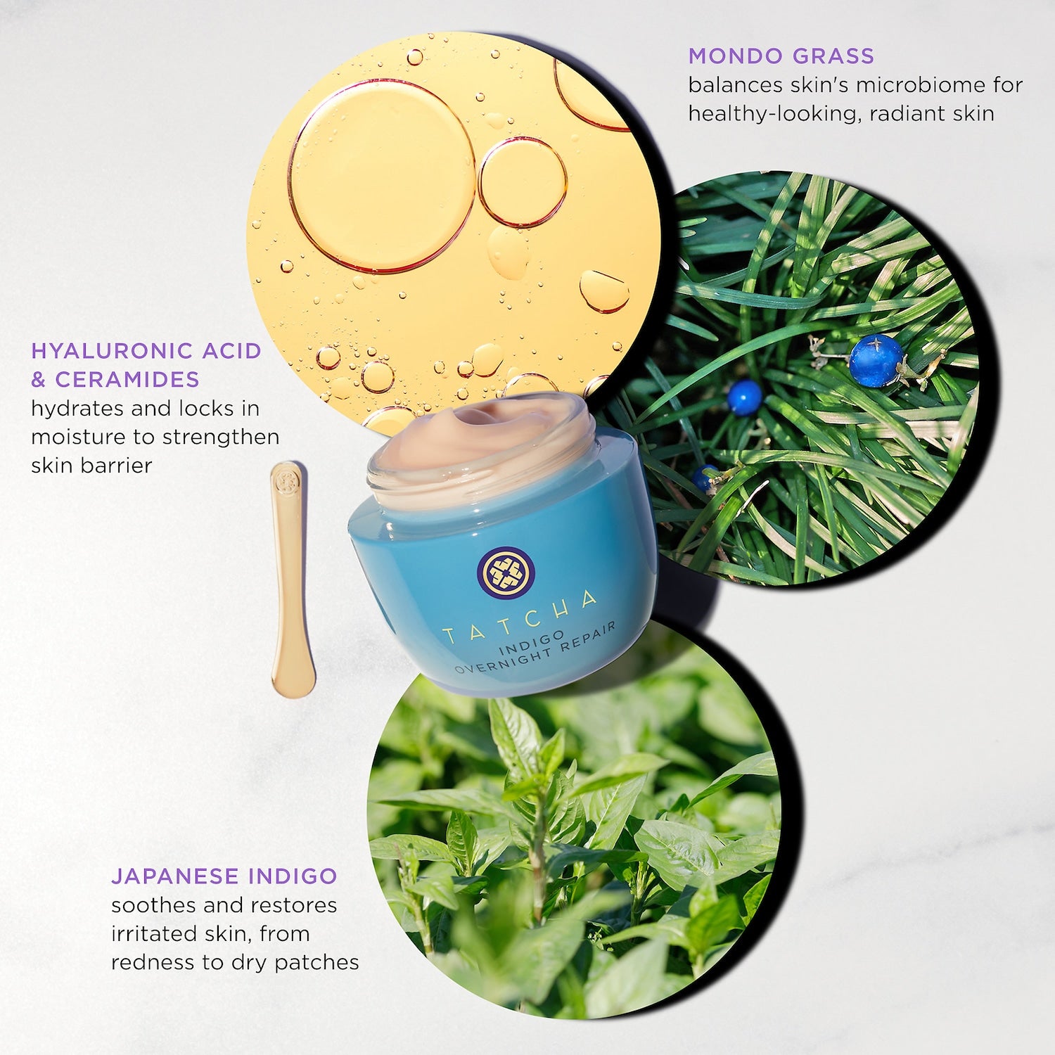 Indigo Overnight Repair Serum in Cream Treatment - Tatcha / Crema humectante