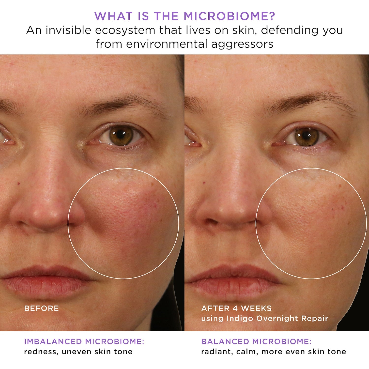 Indigo Overnight Repair Serum in Cream Treatment - Tatcha / Crema humectante