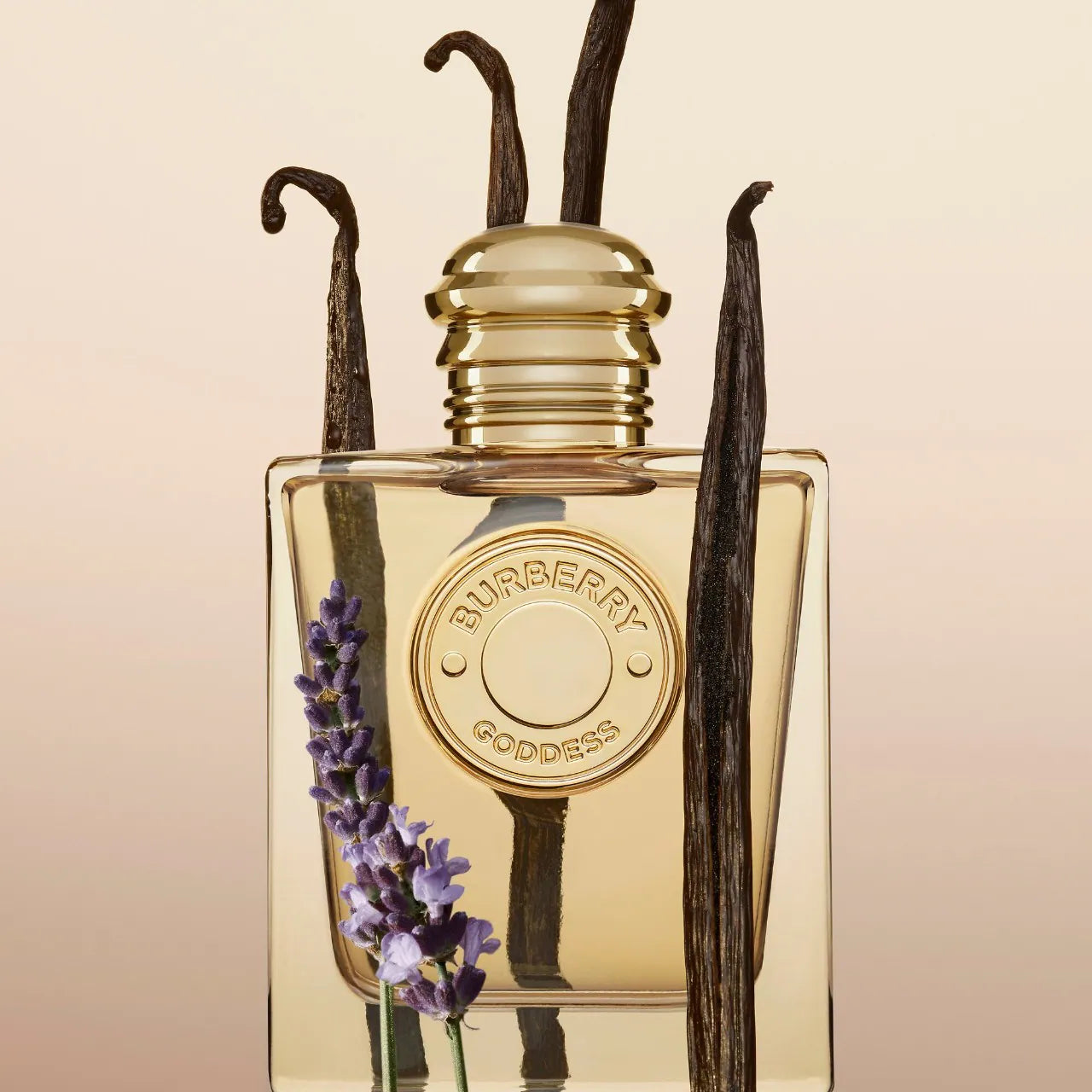 *PREORDEN: Burberry Goddess Eau de Parfum - BURBERRY / Perfume