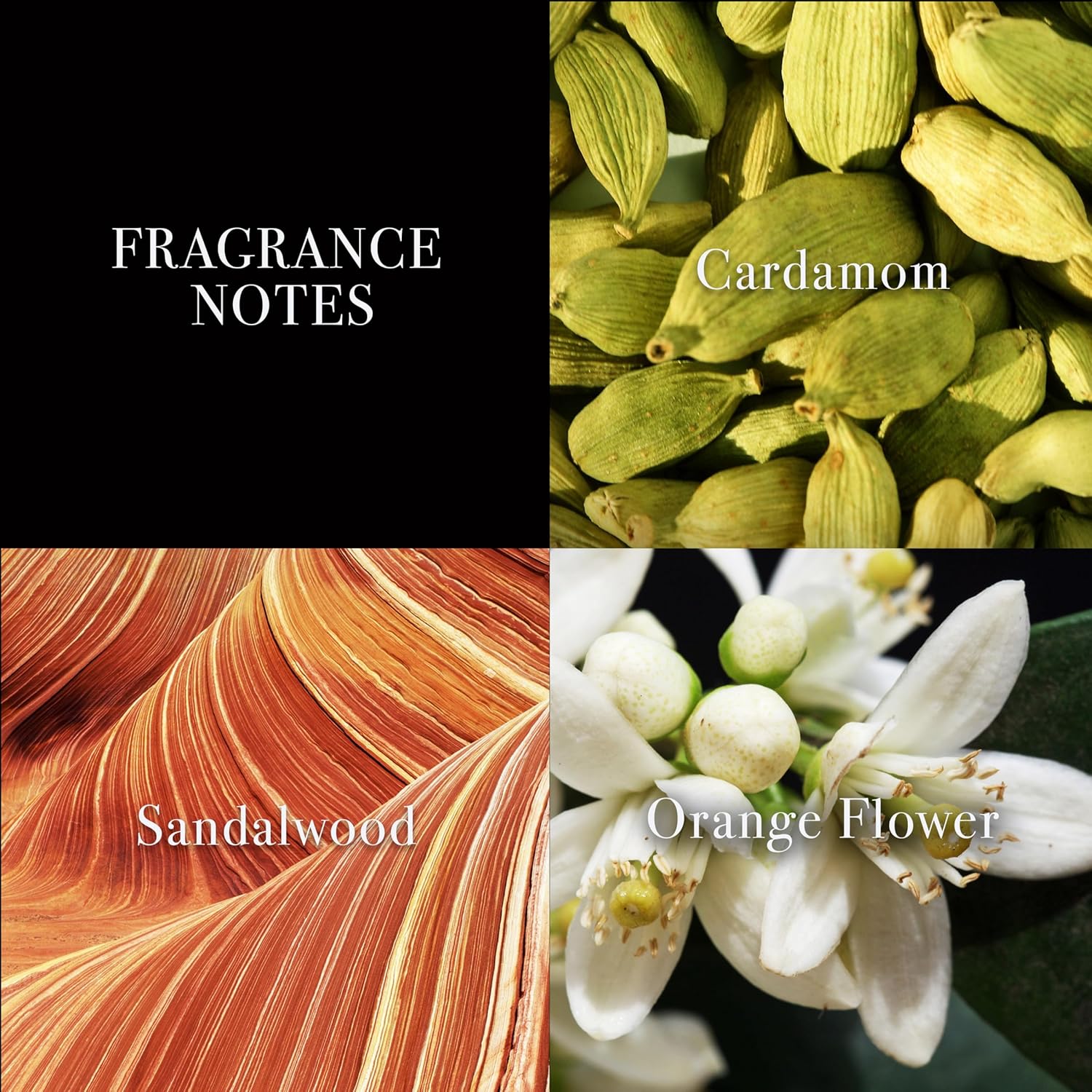 John Varvatos XX for Men 15mL - John Varvatos / Mini perfume