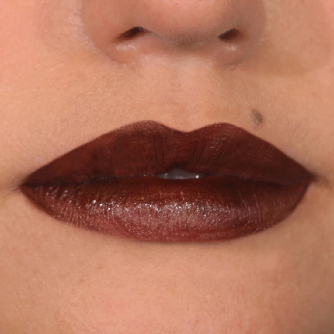 Lip stain - PALLADIO / Tinta matte de larga duración