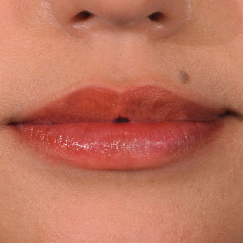 Lip stain - PALLADIO / Tinta matte de larga duración