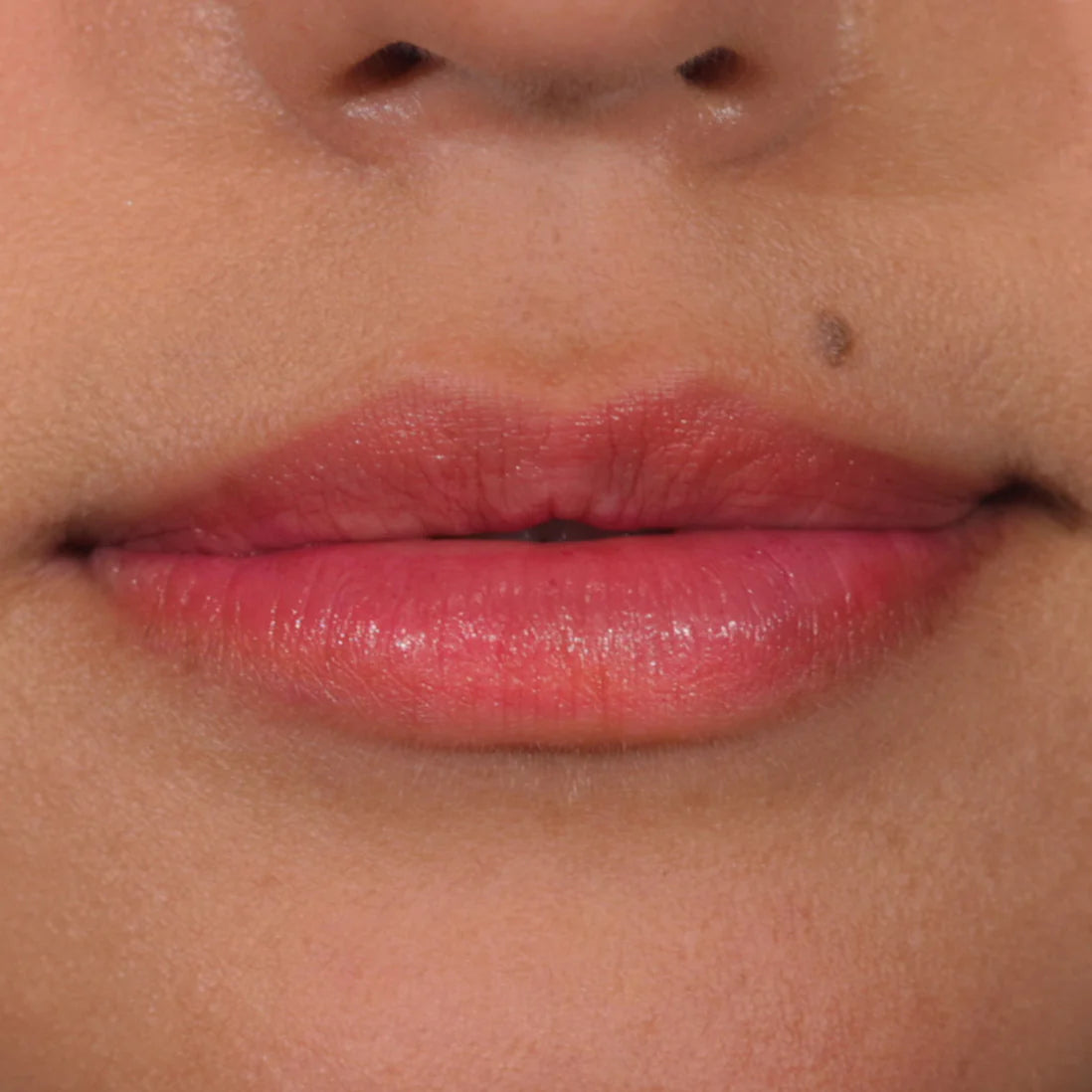 Lip stain - PALLADIO / Tinta matte de larga duración