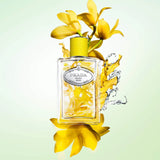 Les Infusions Discovery Set - Prada / Set de muestras