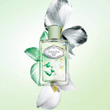 Les Infusions Discovery Set - Prada / Set de muestras