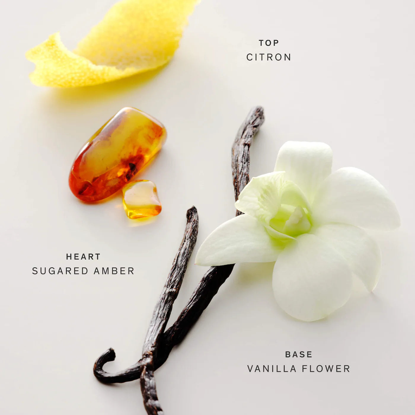 *PREORDEN: No. 15 Vanille Infinie Eau de Parfum with Vanilla - Maison Louis Marie / Perfume cálido