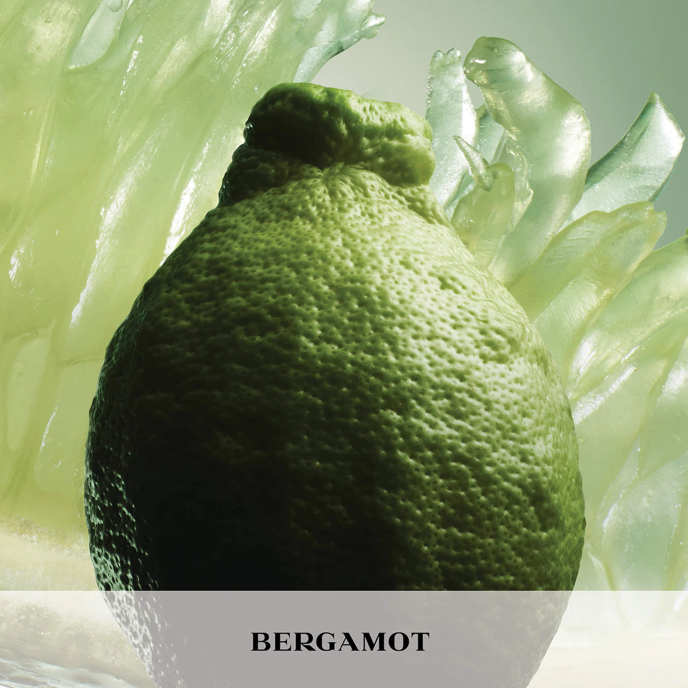Paradigme Eau de Parfum with Bergamot - PRADA / Fragancia para hombre