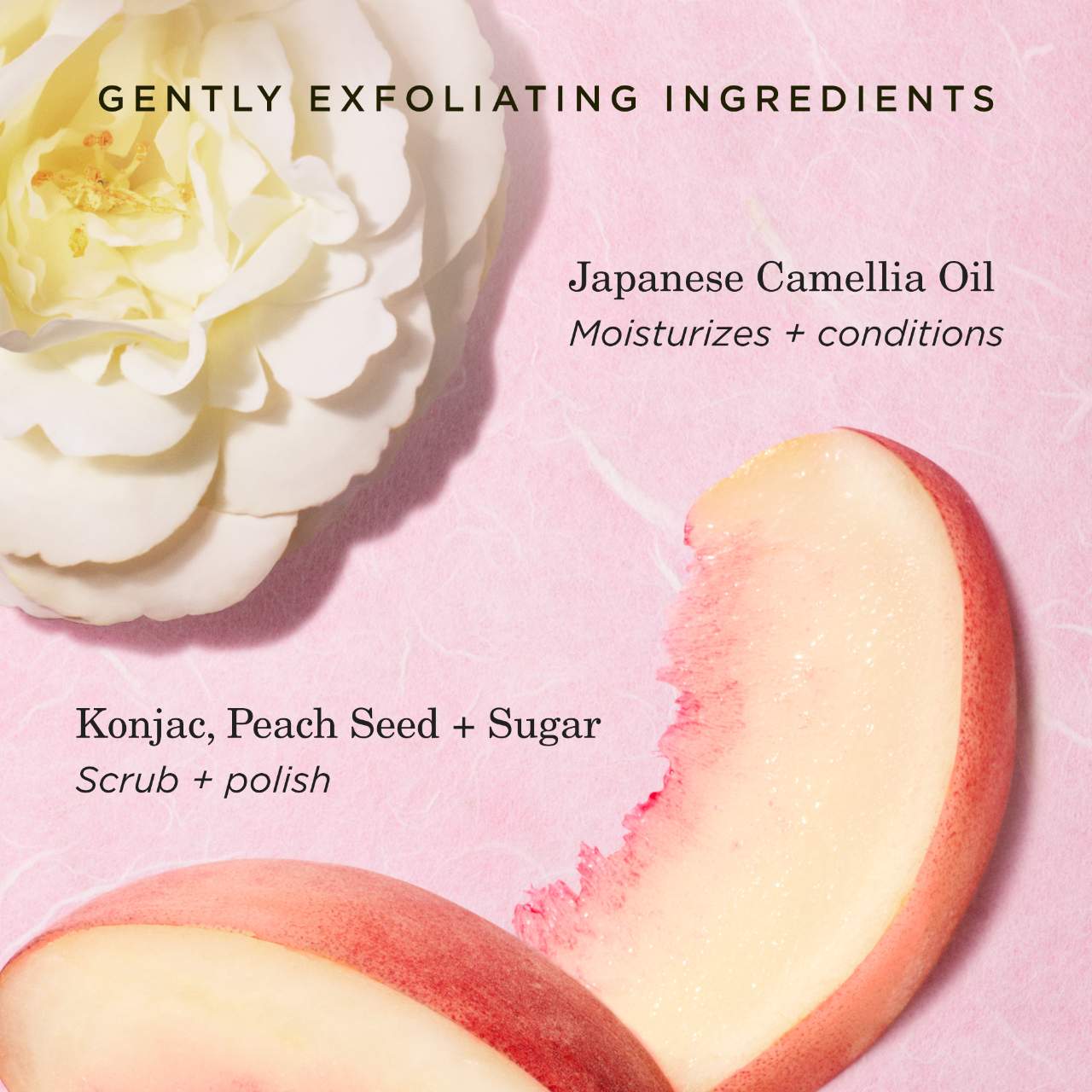The Kissu Lip Scrub - Tatcha / Exfoliante labial