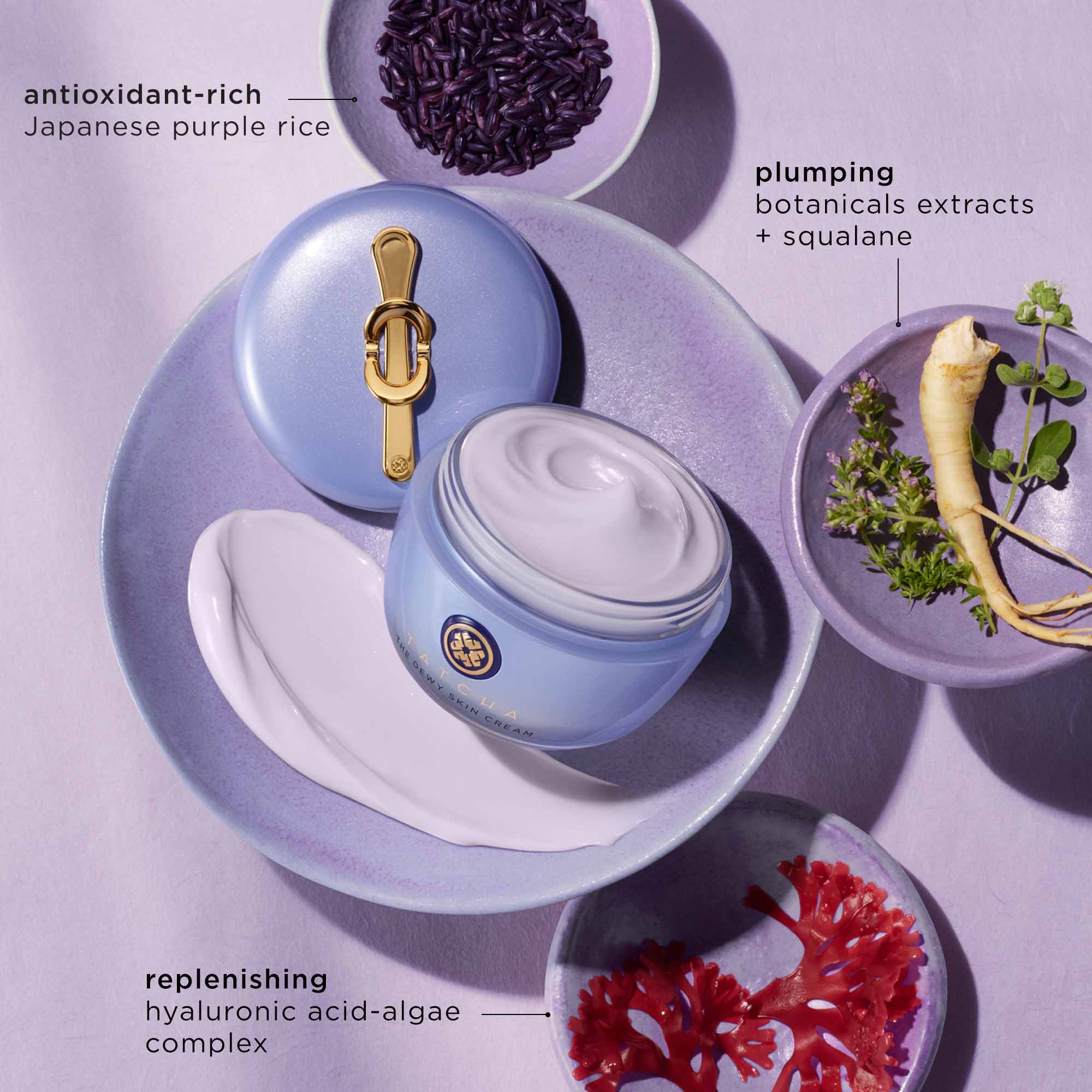 The Dewy Skin Cream Plumping & Hydrating Moisturizer - Tatcha / Crema Humectante